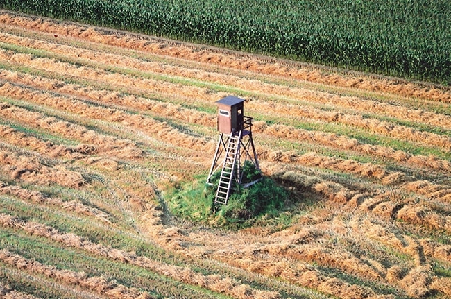 Hochsitz im Feld