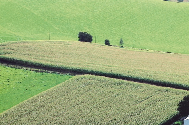 Landwirtschaftlich genutzte Fläche in Remscheid